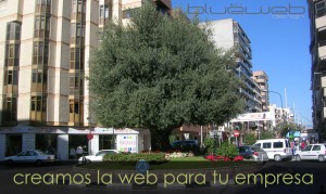Empresas de páginas web en San Juan de Alicante.